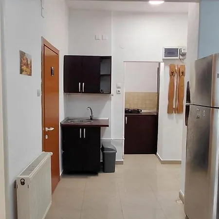 Apartment Victoriei 214
