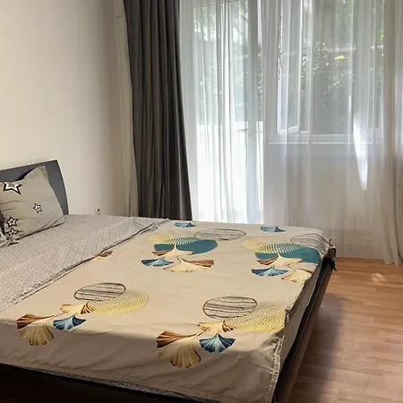 Apartment Victoriei 214 Bucharest